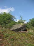 http://lh3.ggpht.com/_Q-b3D5rJSGo/TAOic9N4QfI/AAAAAAAADgU/ROt5Lk8uO80/Riviere%20119.jpg
