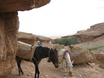 http://lh3.ggpht.com/_Q-b3D5rJSGo/TNbsqiyOfkI/AAAAAAAAEbk/ByxBpXWN3iE/MarocBest%20%28132%29.JPG