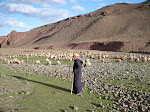 http://lh3.ggpht.com/_Q-b3D5rJSGo/TNbxexjFPzI/AAAAAAAAEkk/Y62r5xPDy_M/MarocBest%20%28288%29.JPG