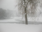 http://lh3.ggpht.com/_Q-b3D5rJSGo/TQ8j_MRLvdI/AAAAAAAAFI8/ZEZVnoMNp6o/Beaumont%20041.jpg