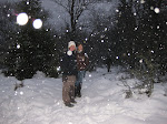 http://lh3.ggpht.com/_Q-b3D5rJSGo/TQXxkUukqMI/AAAAAAAAFF4/fVwVisAfkuw/FagnesNordEstDEC2010%20067.jpg