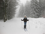 http://lh3.ggpht.com/_Q-b3D5rJSGo/TRheCCjuG9I/AAAAAAAAFKE/i-NlJ756_UY/LosheimergrabenSkideFond%20006.jpg
