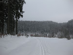http://lh3.ggpht.com/_Q-b3D5rJSGo/TRheUY913sI/AAAAAAAAFKs/pJ2OxQ_Smgs/LosheimergrabenSkideFond%20032.jpg