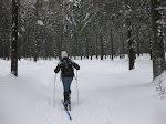 http://lh3.ggpht.com/_Q-b3D5rJSGo/TRhehSjtlDI/AAAAAAAAFLE/0V4UuJnKOYg/LosheimergrabenSkideFond%20049.jpg