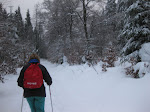 http://lh3.ggpht.com/_Q-b3D5rJSGo/TRhfA7VXAjI/AAAAAAAAFMA/hQFX2cuEfBI/LosheimergrabenSkideFond%20071.jpg