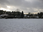 http://lh3.ggpht.com/_Q-b3D5rJSGo/TSLfcxJRulI/AAAAAAAAFPI/_fJFwSYUFlE/Gistoux%20%28135%29.jpg