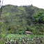 Farming on the crater rim, looking at Panajakan summit