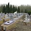 War graves