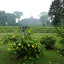 Borobudur through the fog