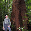 Andy, and another tree
