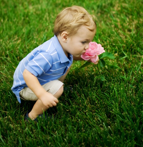 [CrawfordwithFlower210.jpg]