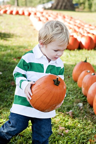 [Crawford Pumpkin Patch3[4].jpg]