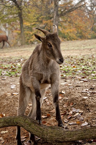 [DSC_0396[3].jpg]
