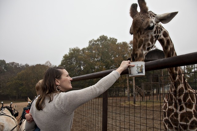 [DSC_0417[3].jpg]