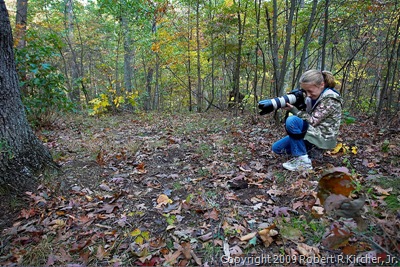 20091023 Firewood-0135