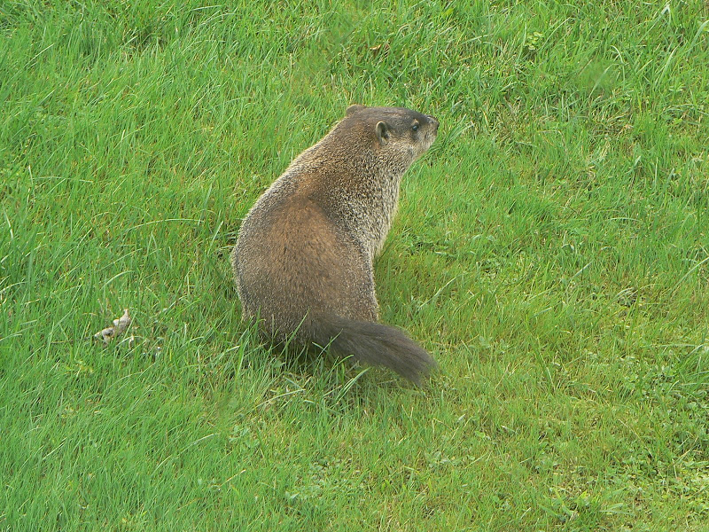 P1020077.JPG