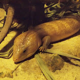 Sobotniojesienna wyprawa do zoo