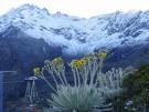[pico bolivar[2].jpg]