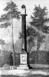 Kolumna Michała Korybuta