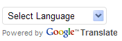 Google Translate Image