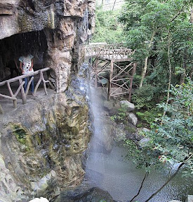 View of the waterfall inside the amazing hillside aviary View of the waterfall inside the amazing hillside aviary