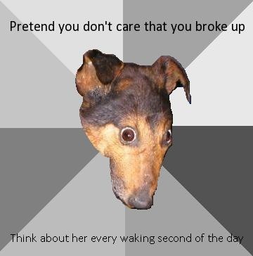 [1234629093347[2].jpg]