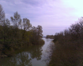 Mary's River Mary's River