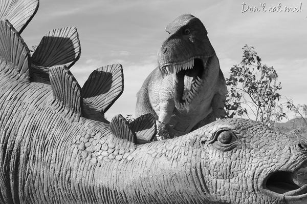 [DPP_0001905110.jpg]