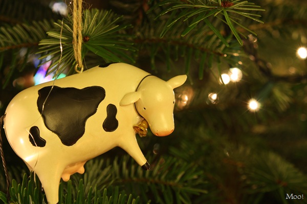 [DPP_00012323[4].jpg]