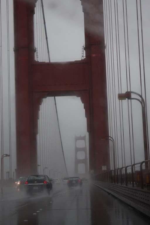 [DPP_00012356[9].jpg]