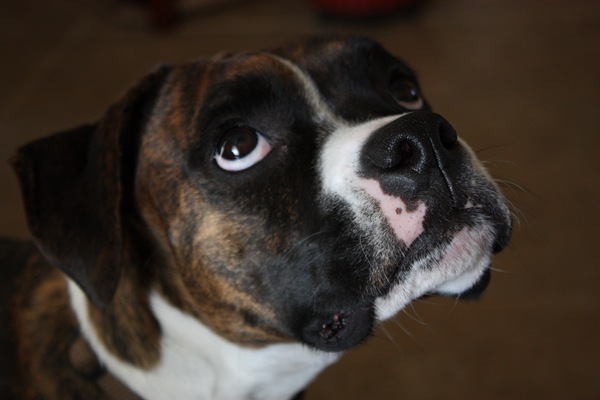 [DPP_00012501[5].jpg]