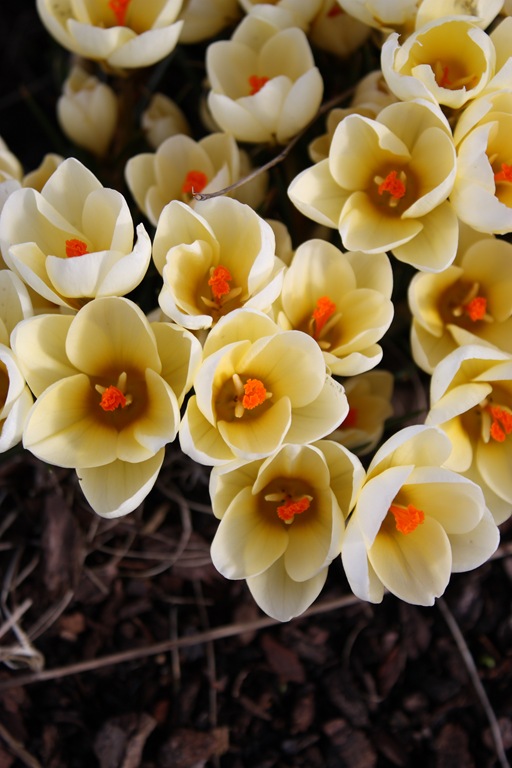 [DPP_00012771[6].jpg]