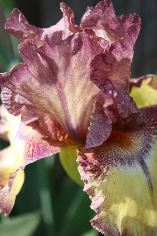 [DPP_00012936[1].jpg]