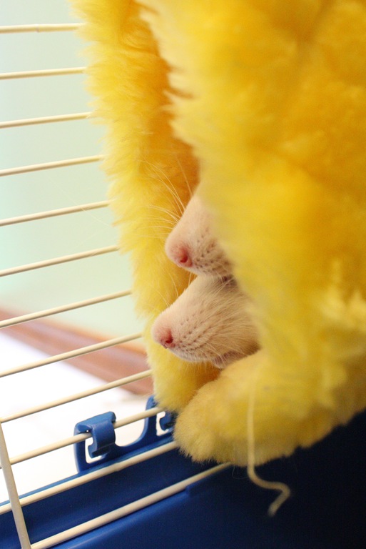 [DPP_00013356[7].jpg]