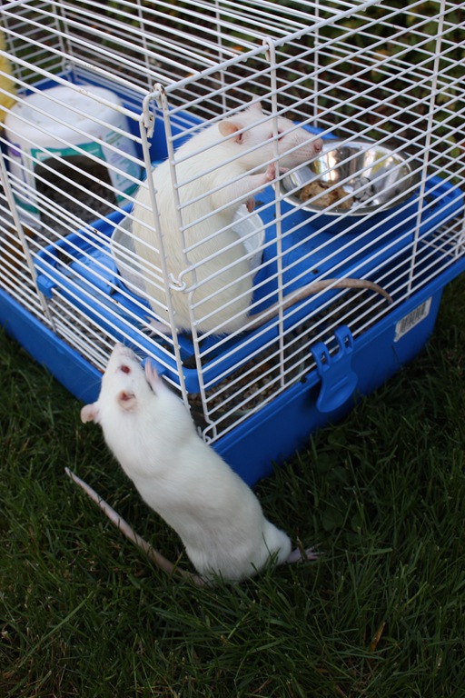 [DPP_00013697[6].jpg]