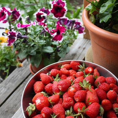 [DPP_00014183[14].jpg]