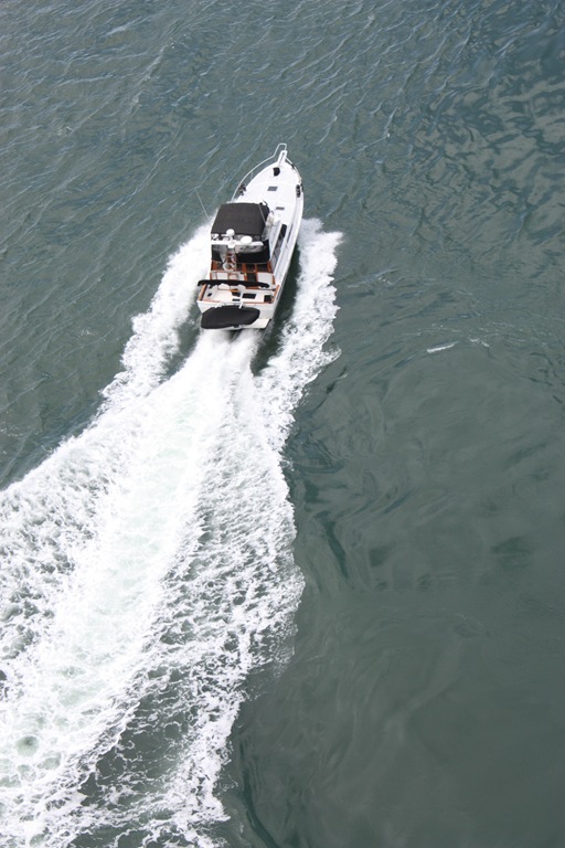 [DPP_00014288[1].jpg]