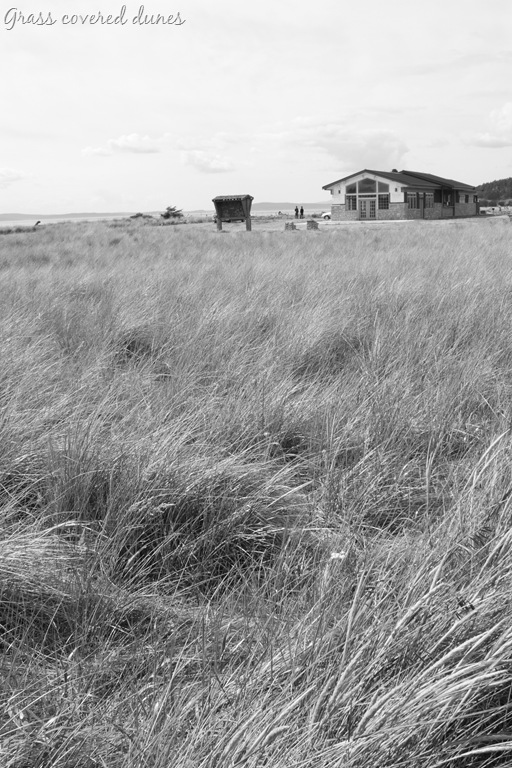 [DPP_00014330[1].jpg]