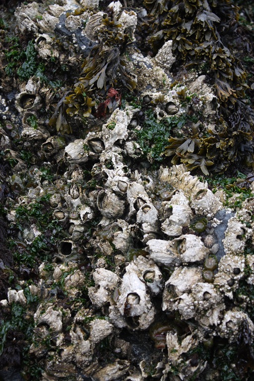 [DPP_00014387[1].jpg]