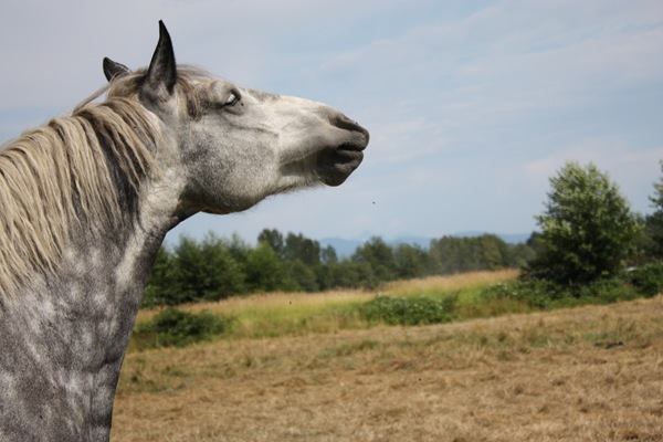 [DPP_00014851[3].jpg]