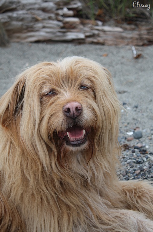 [DPP_00015682[29].jpg]