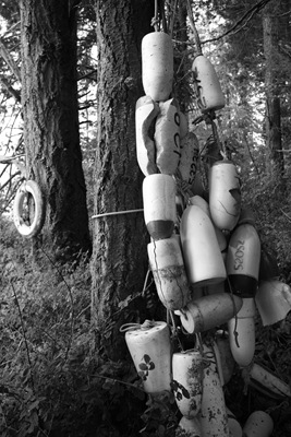 [DPP_00015546[3].jpg]