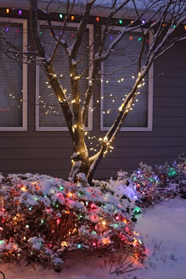 [DPP_00018651[3].jpg]