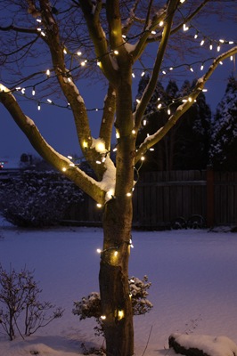 [DPP_00018657[5].jpg]