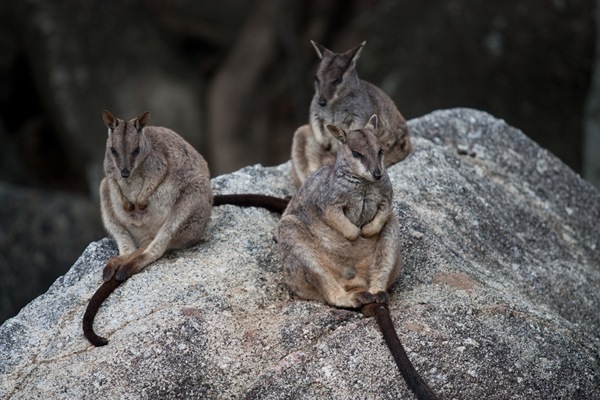 [20100517-IMG_0296[2].jpg]