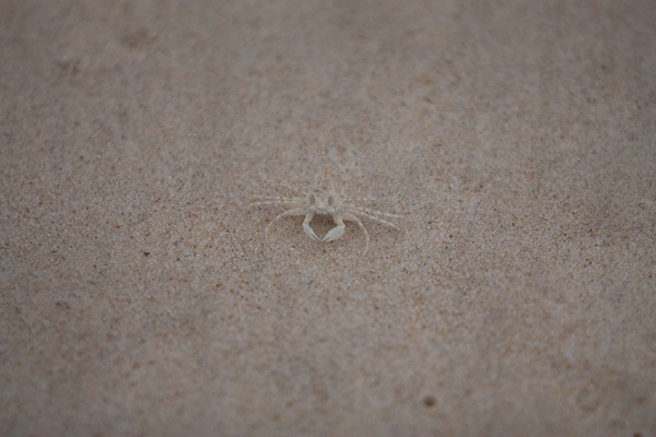 [20100510-IMG_8418[2].jpg]