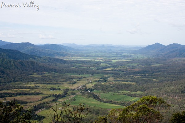 [20100512IMG_907214.jpg]