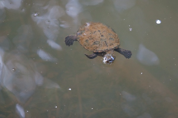 [20100512IMG_92082.jpg]