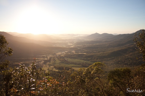 [20100513IMG_92647.jpg]