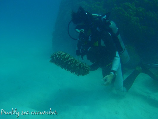 [20100515--F 047[15].jpg]